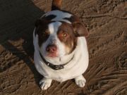 blog budowlany - avatar agitom-bw-03