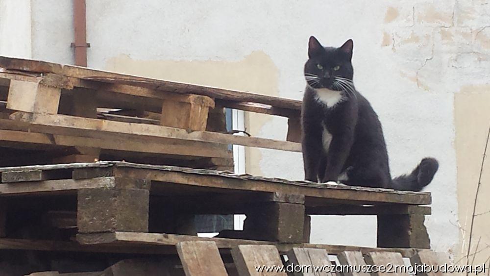 blog budowlany - mojabudowa.pl