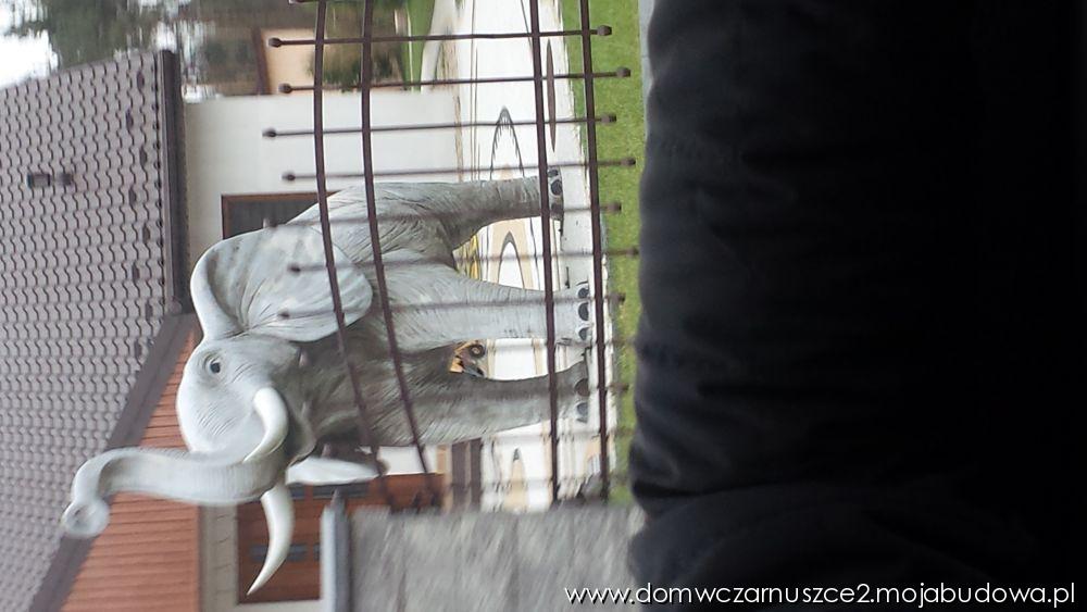 blog budowlany - mojabudowa.pl