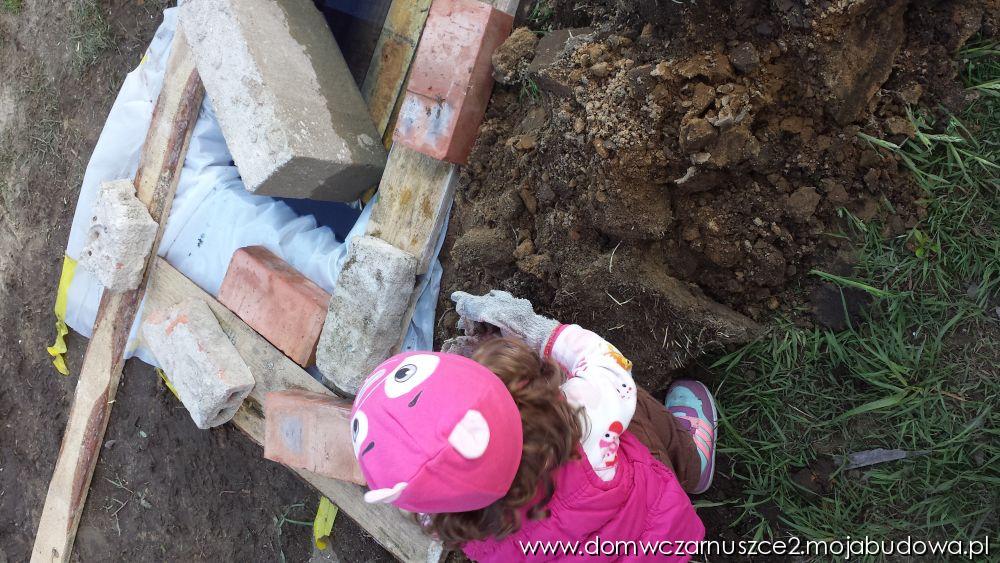 blog budowlany - mojabudowa.pl