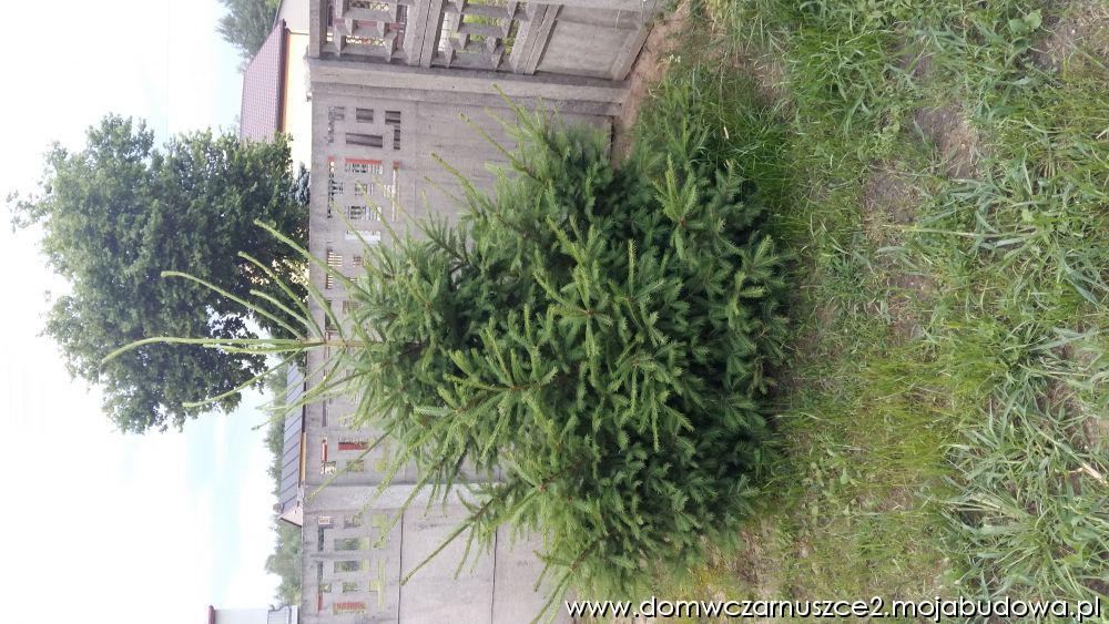 blog budowlany - mojabudowa.pl