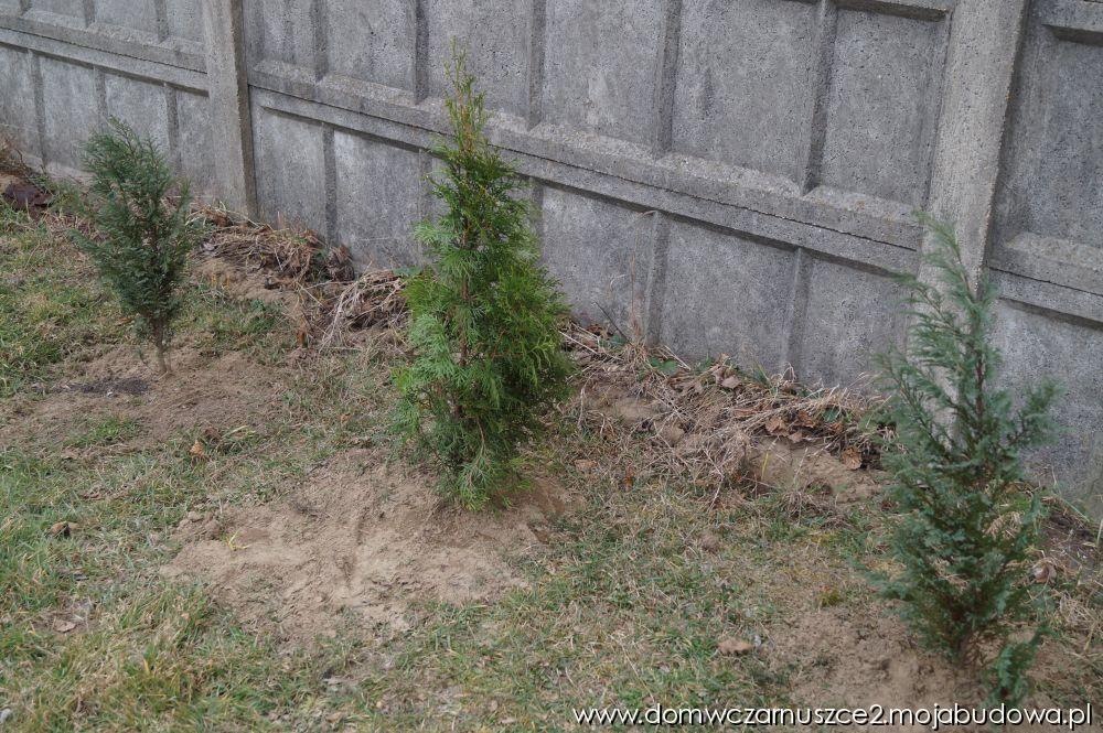 blog budowlany - mojabudowa.pl