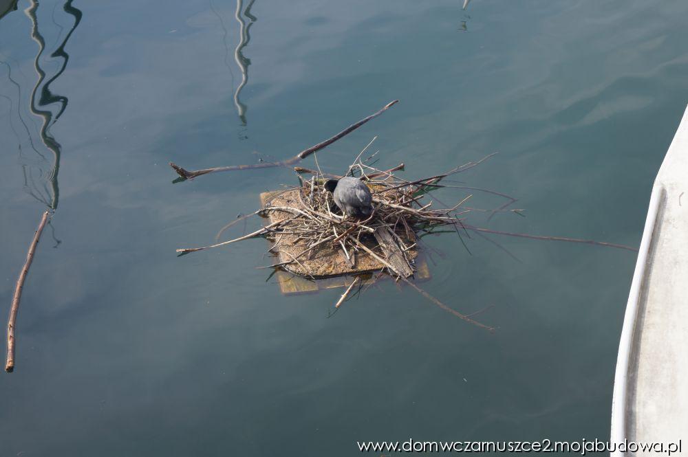 blog budowlany - mojabudowa.pl