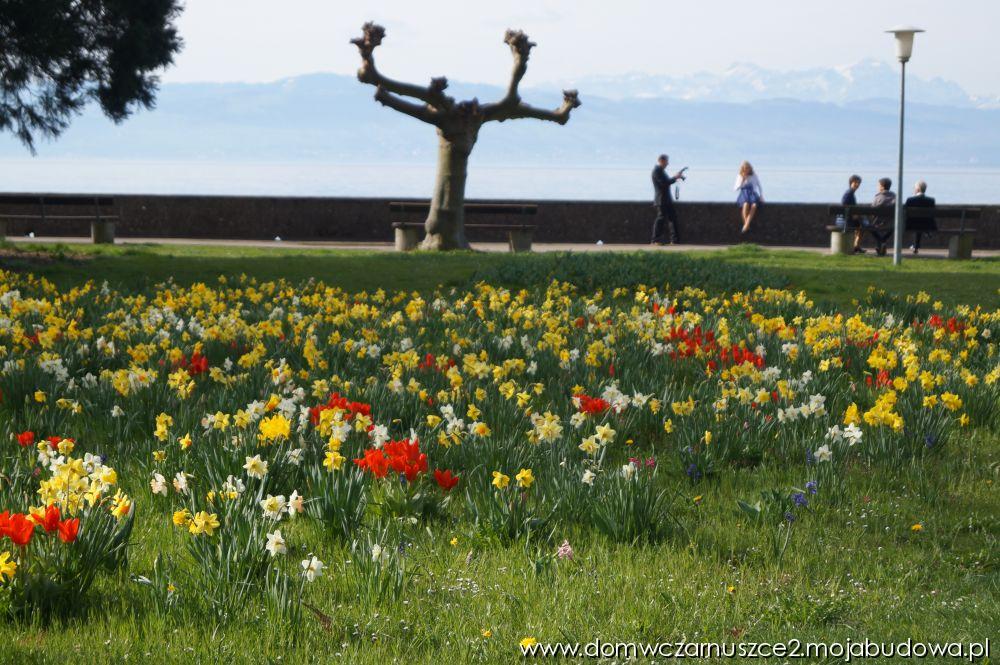 blog budowlany - mojabudowa.pl