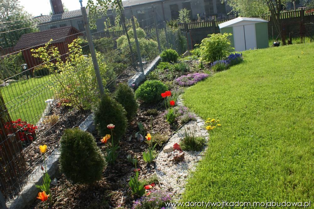 blog budowlany - mojabudowa.pl