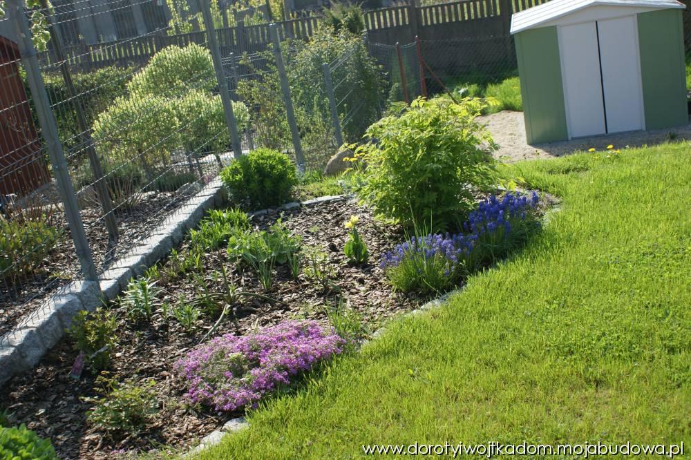 blog budowlany - mojabudowa.pl