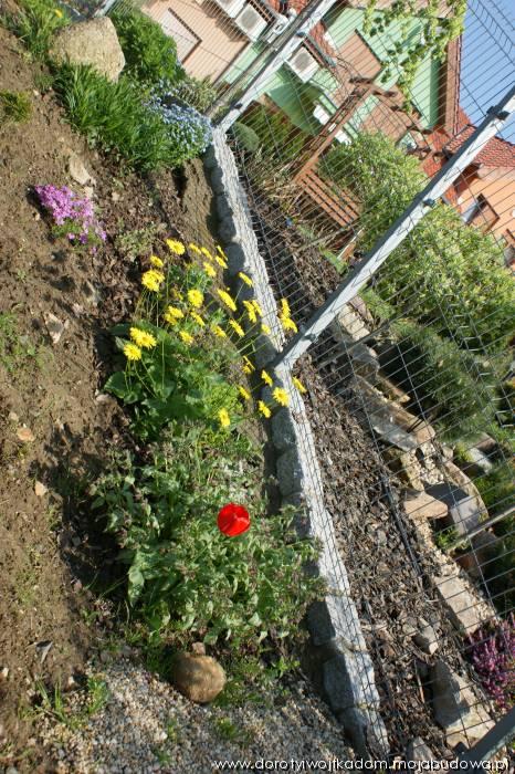 blog budowlany - mojabudowa.pl