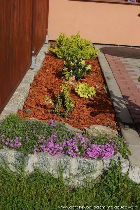 blog budowlany - mojabudowa.pl