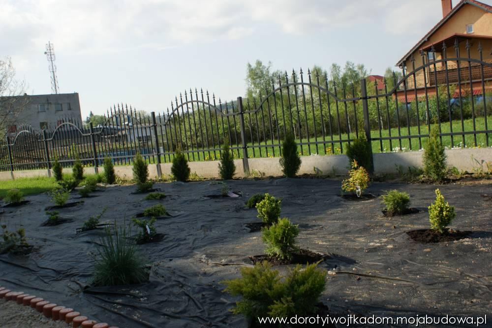 blog budowlany - mojabudowa.pl