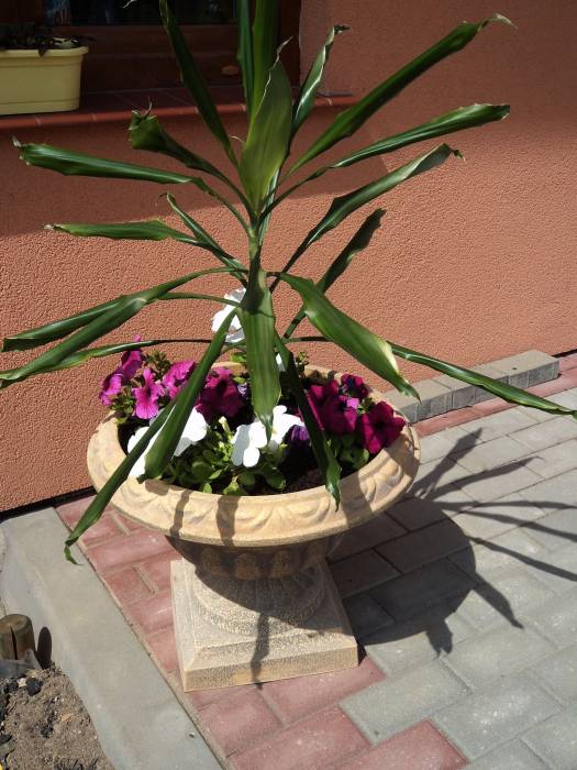 blog budowlany - mojabudowa.pl