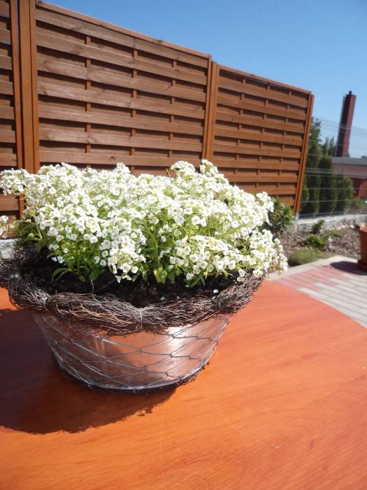 blog budowlany - mojabudowa.pl