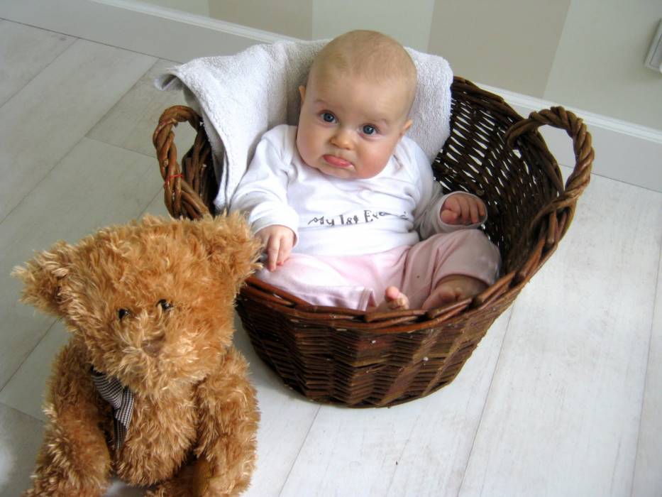 blog budowlany - mojabudowa.pl