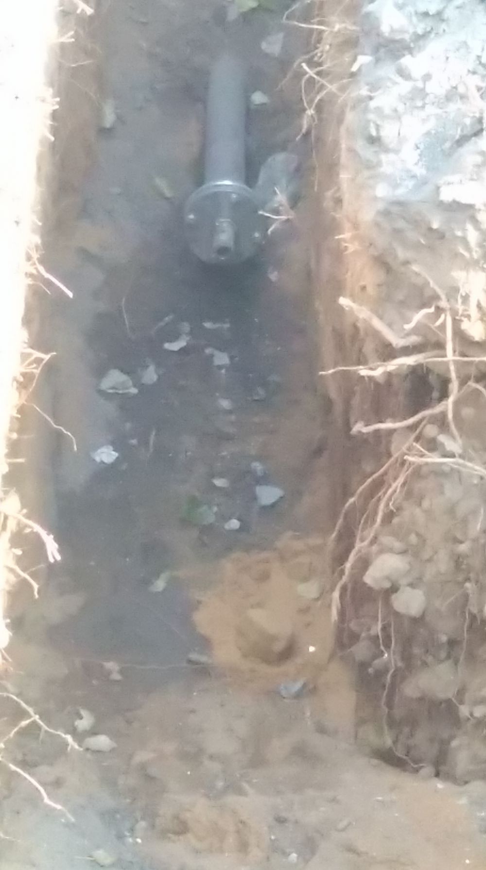 blog budowlany - mojabudowa.pl