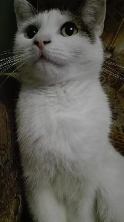 blog budowlany - avatar jagoda-pawel