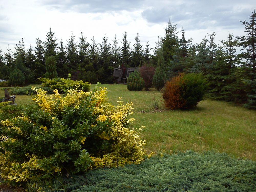 blog budowlany - mojabudowa.pl