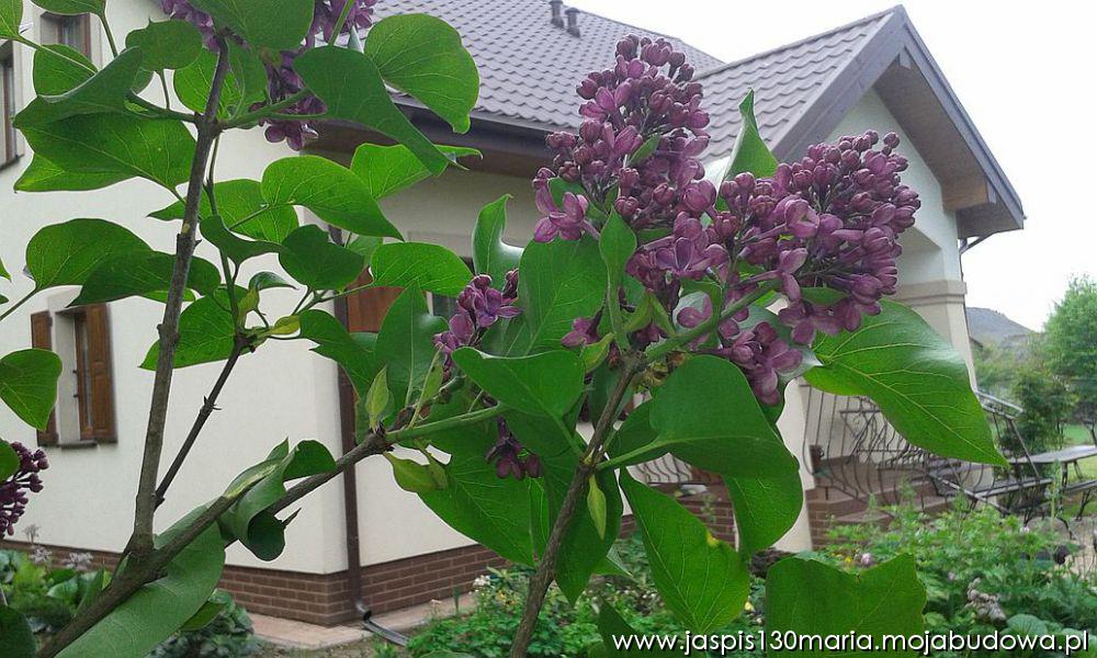 blog budowlany - mojabudowa.pl