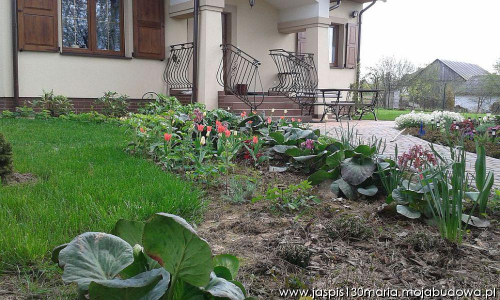 blog budowlany - mojabudowa.pl