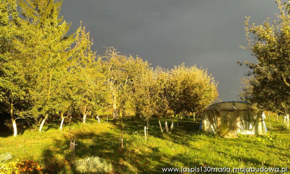 blog budowlany - mojabudowa.pl