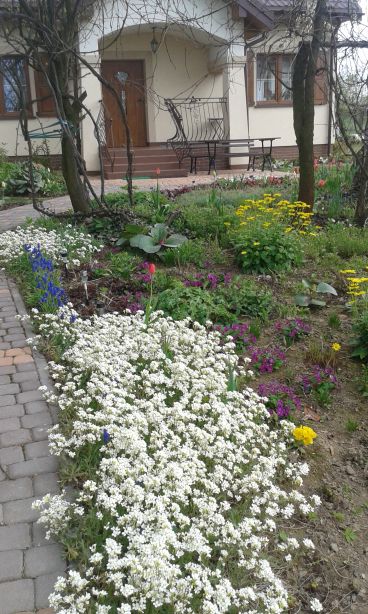 blog budowlany - mojabudowa.pl