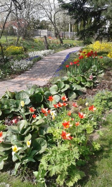 blog budowlany - mojabudowa.pl