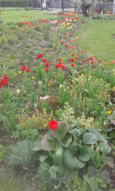 blog budowlany - mojabudowa.pl