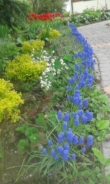 blog budowlany - mojabudowa.pl