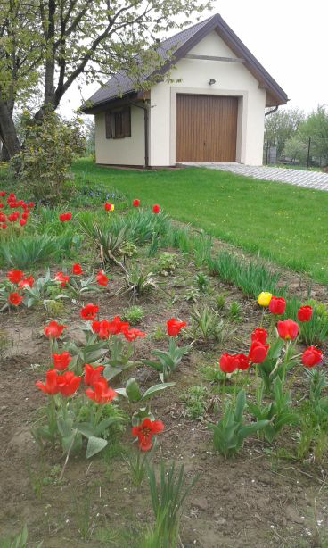 blog budowlany - mojabudowa.pl