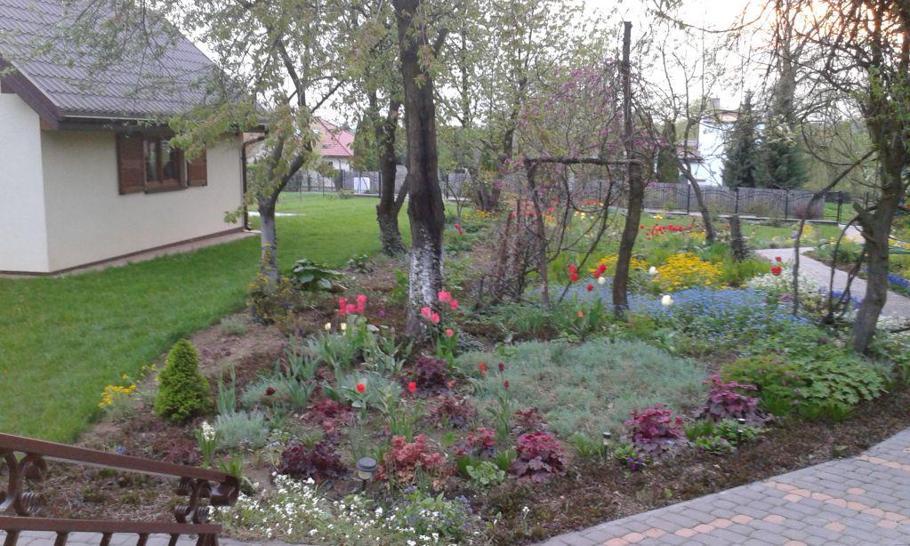 blog budowlany - mojabudowa.pl