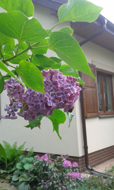 blog budowlany - mojabudowa.pl