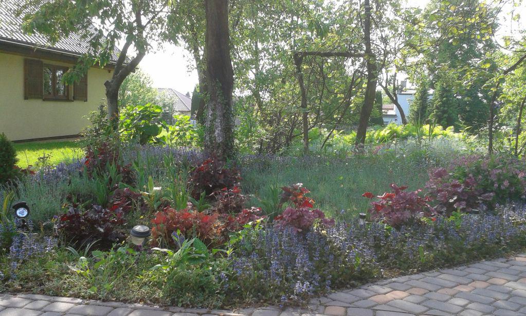 blog budowlany - mojabudowa.pl