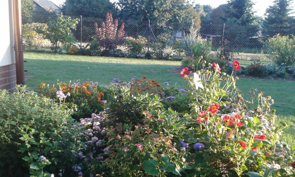 blog budowlany - mojabudowa.pl