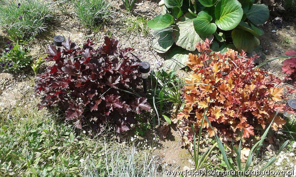 blog budowlany - mojabudowa.pl