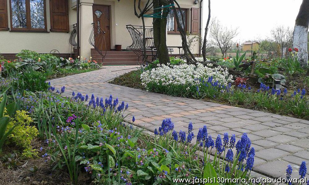 blog budowlany - mojabudowa.pl