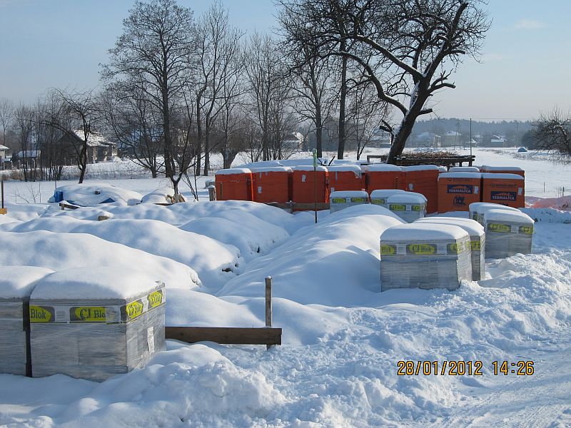 blog budowlany - mojabudowa.pl