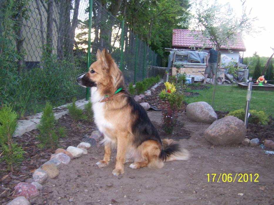 blog budowlany - mojabudowa.pl