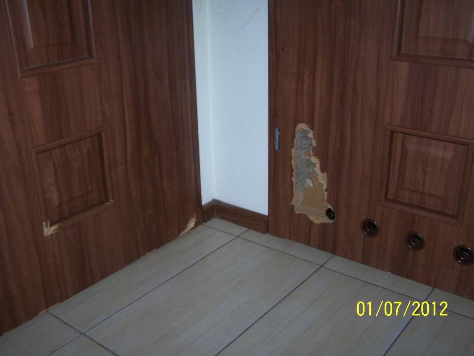 blog budowlany - mojabudowa.pl