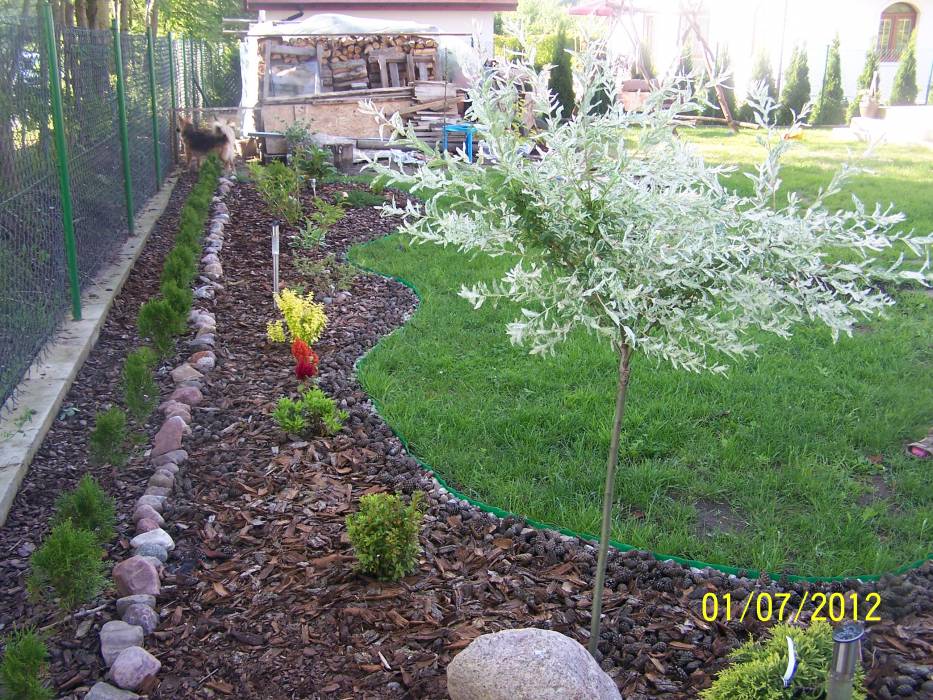 blog budowlany - mojabudowa.pl