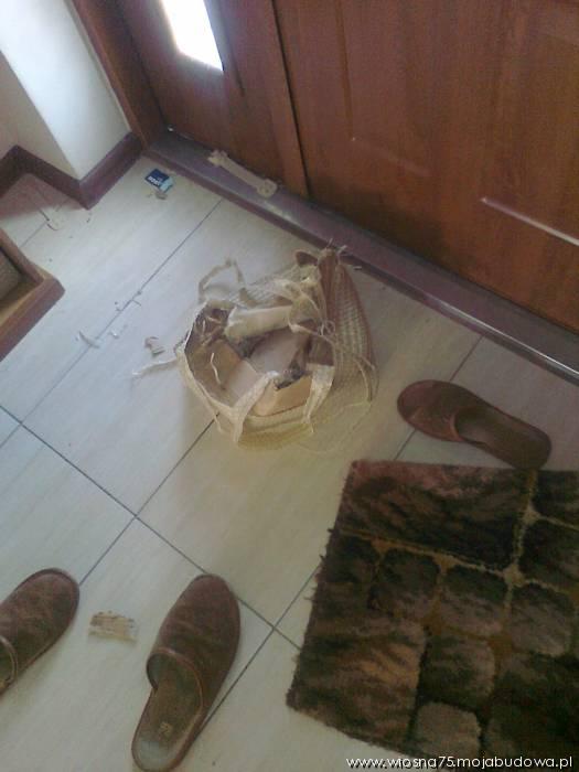 blog budowlany - mojabudowa.pl