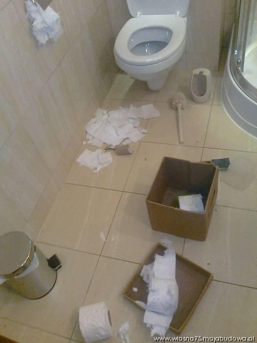 blog budowlany - mojabudowa.pl