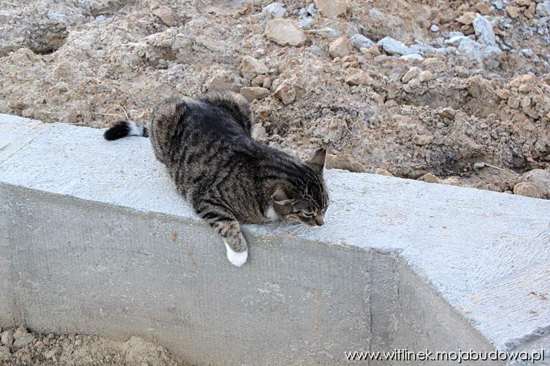 blog budowlany - mojabudowa.pl