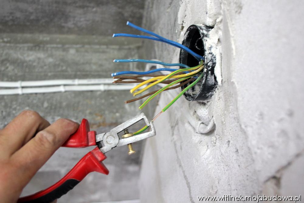 Puszka - zdjęcie izolacji